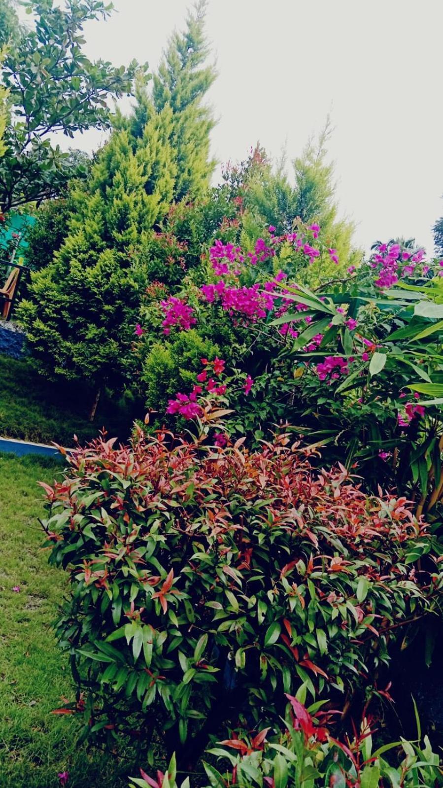 טנקסי Serene Blossom Valley מראה חיצוני תמונה