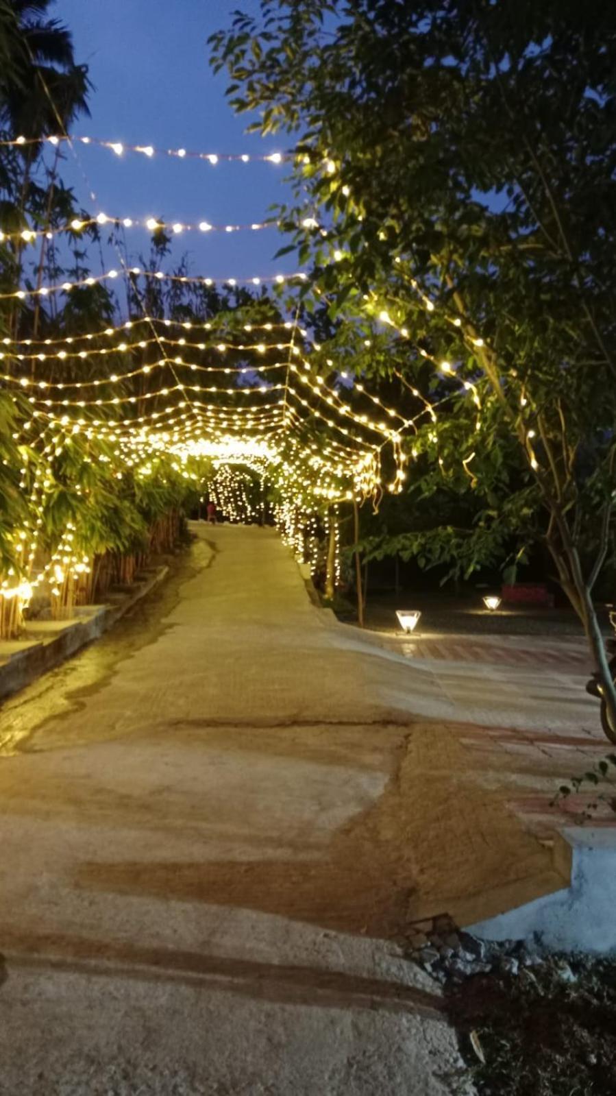 טנקסי Serene Blossom Valley מראה חיצוני תמונה